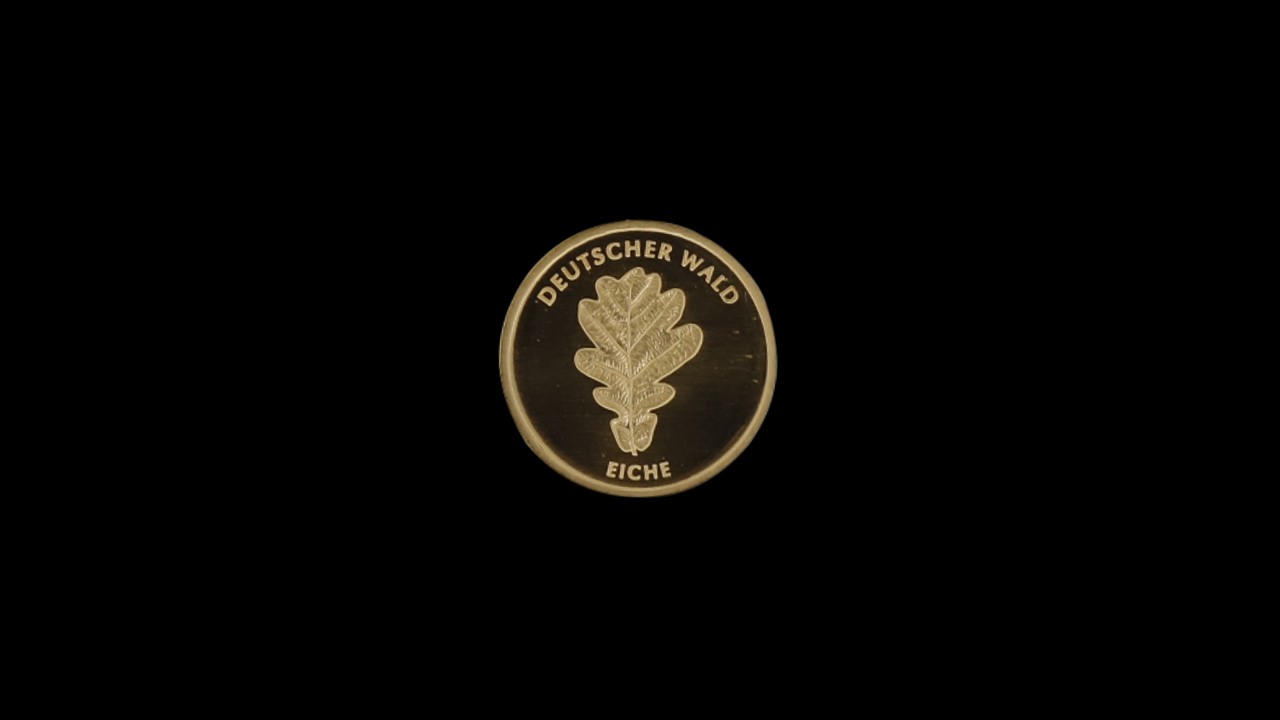 20 EURO 2010 Eiche GM banküblich (Ohne Zertifikat)
