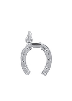 Hufeisen Kettenanhänger aus Silber (AN 150490)